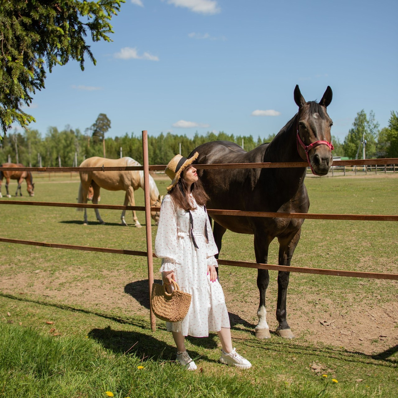 Отзывы. Женский фотограф в Москве и МО