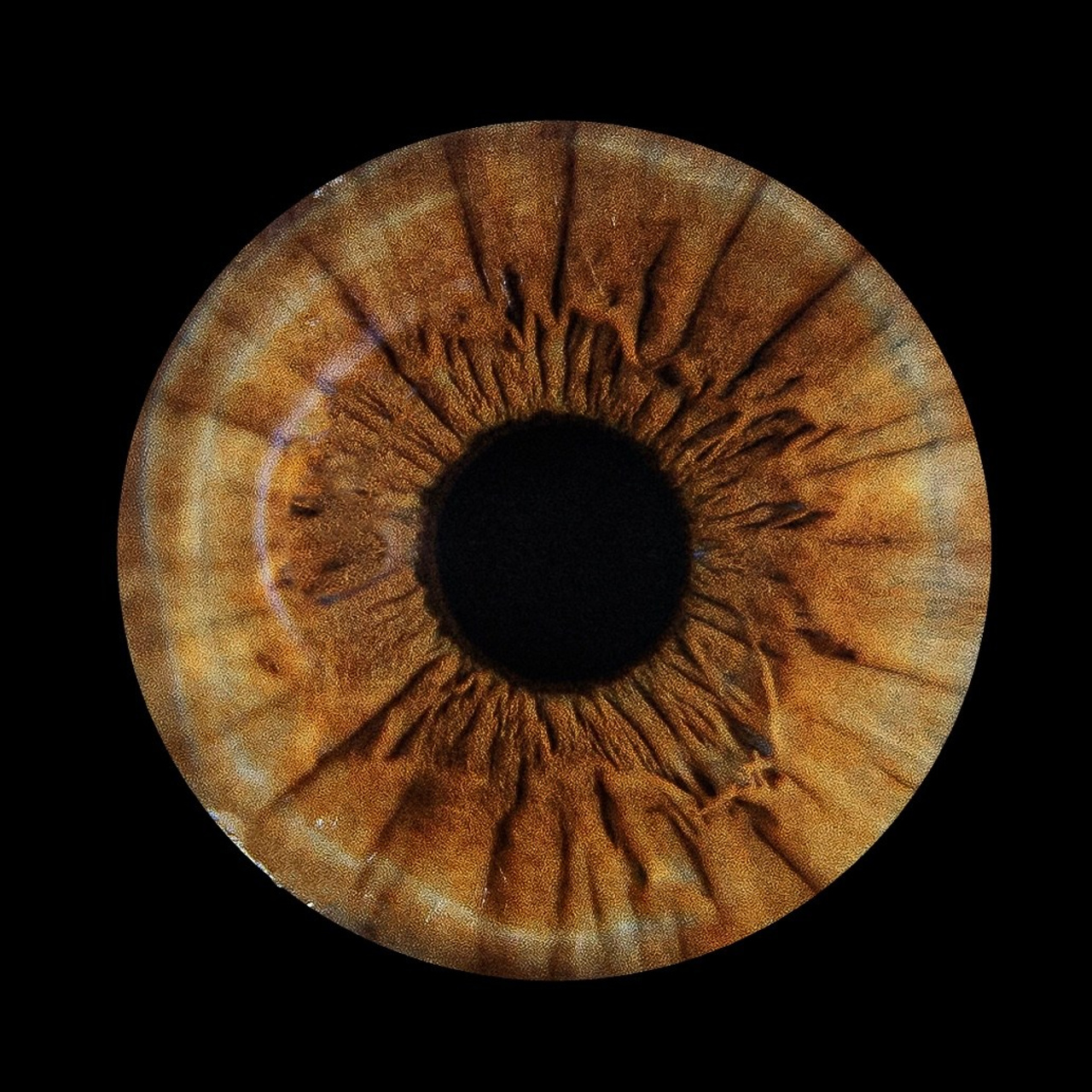 Отзывы. EYEtob | Фотография радужной оболочки | Тобольск