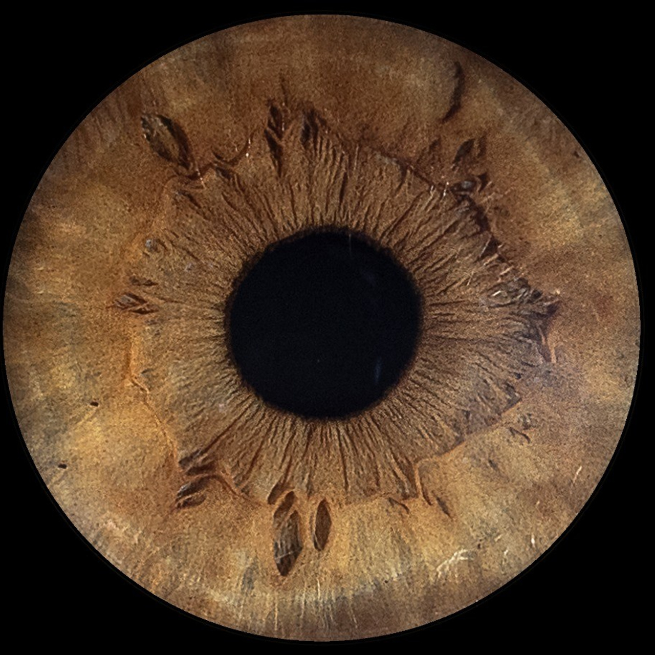 Отзывы. EYEtob | Фотография радужной оболочки | Тобольск