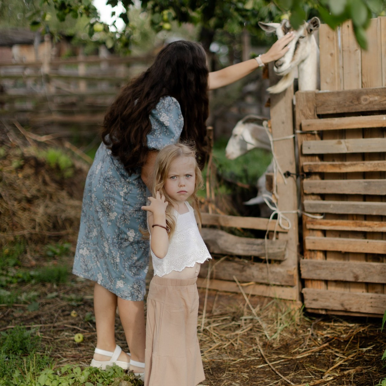 Отзывы. @dariazphotodays