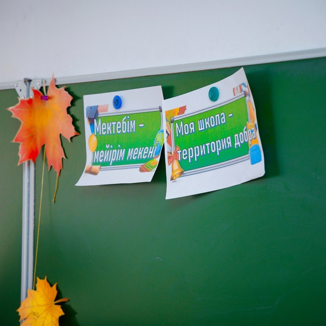 Отзывы. Семейный и Свадебный фотограф в Астане Александр Астапов