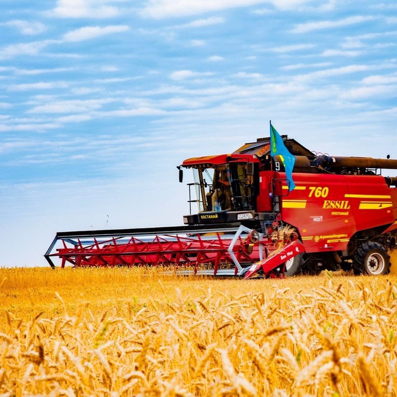 Отзывы. Семейный и Свадебный фотограф в Астане Александр Астапов