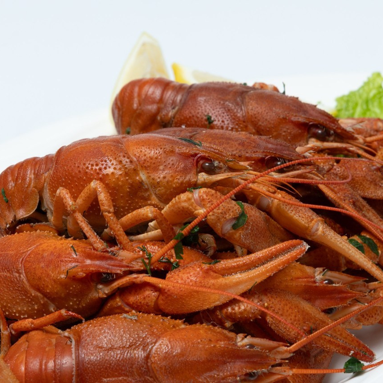 Отзывы. Семейный и Свадебный фотограф в Астане Александр Астапов