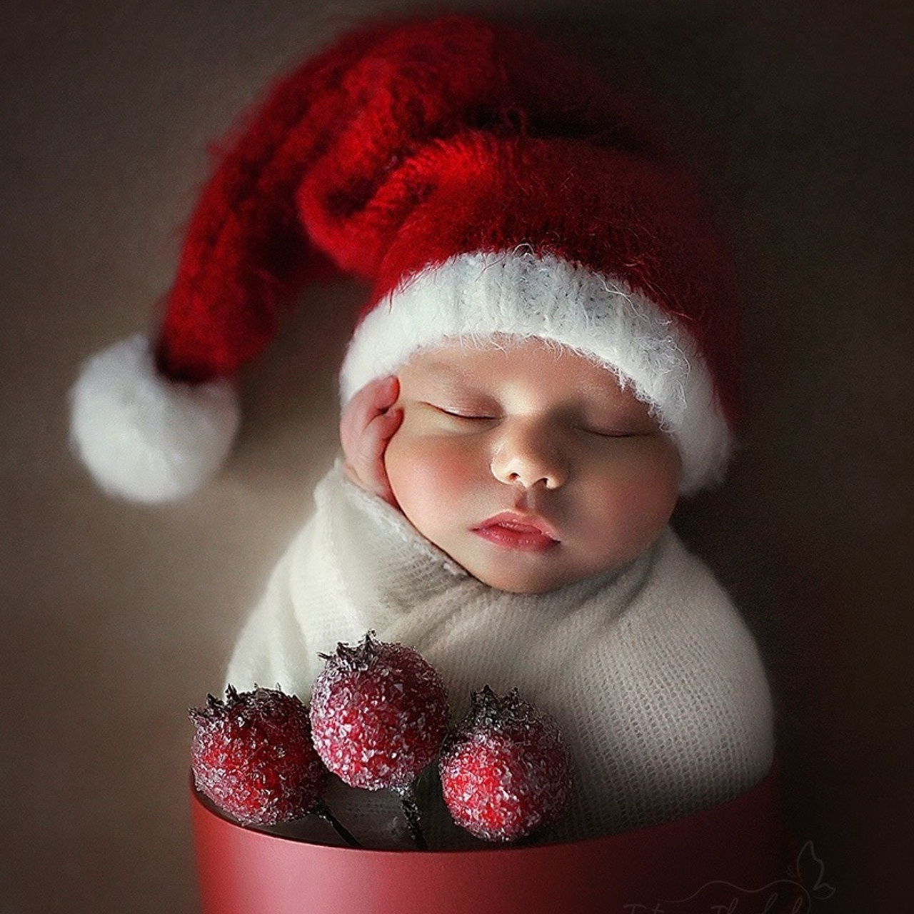 Отзывы. Фотограф новорожденных беременных в Тюмени Ткачук Татьяна