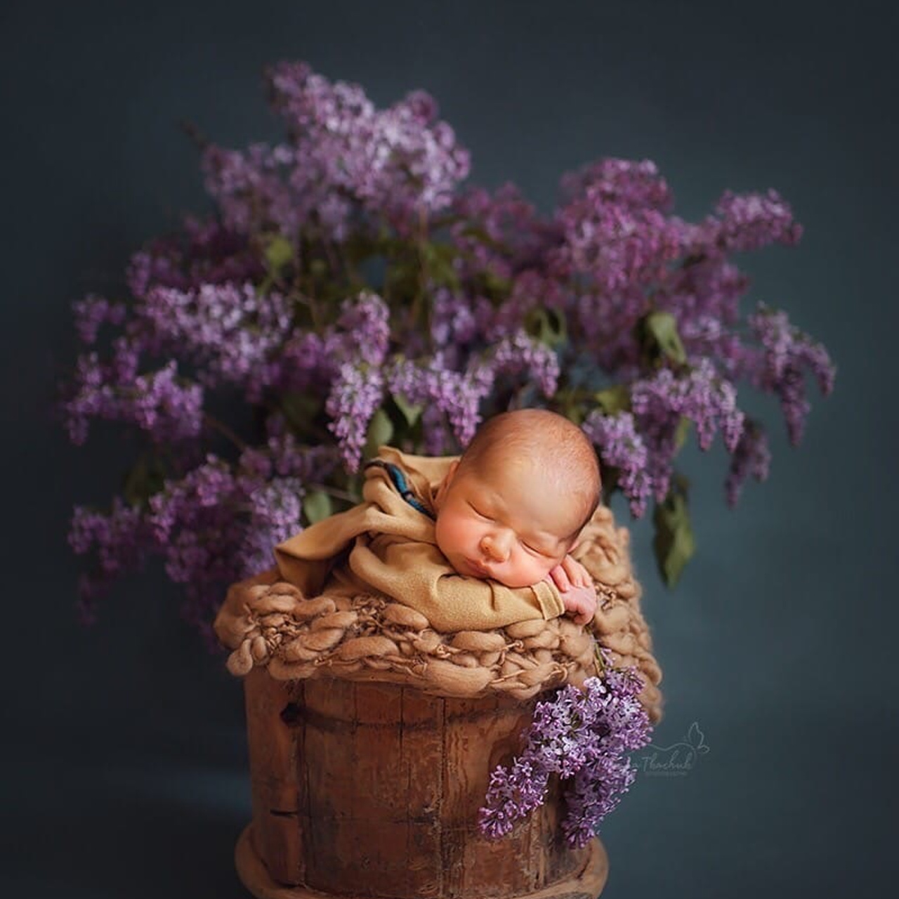Отзывы. Фотограф новорожденных беременных в Тюмени Ткачук Татьяна