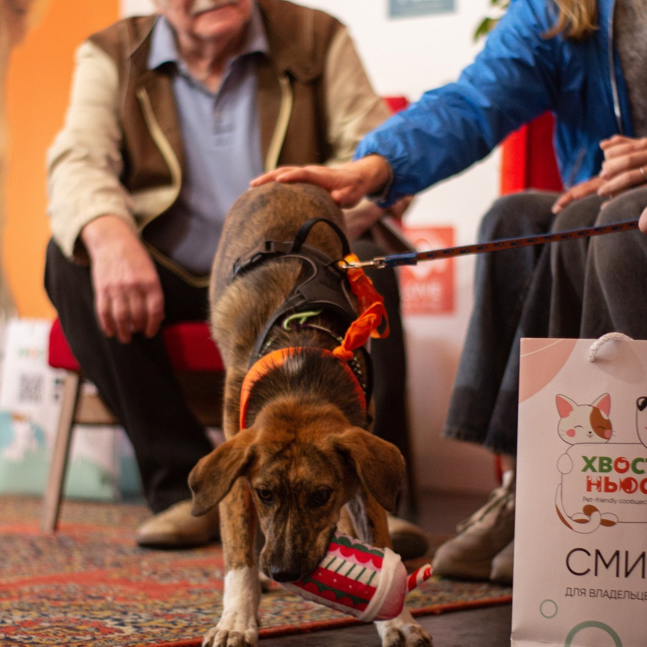 Отзывы. Наталья Сологуб|Фотограф|Ростов-на-Дону