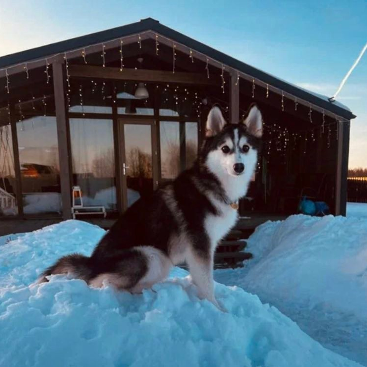 Отзывы. Гостевой дом Каприот в средиземноморском стиле