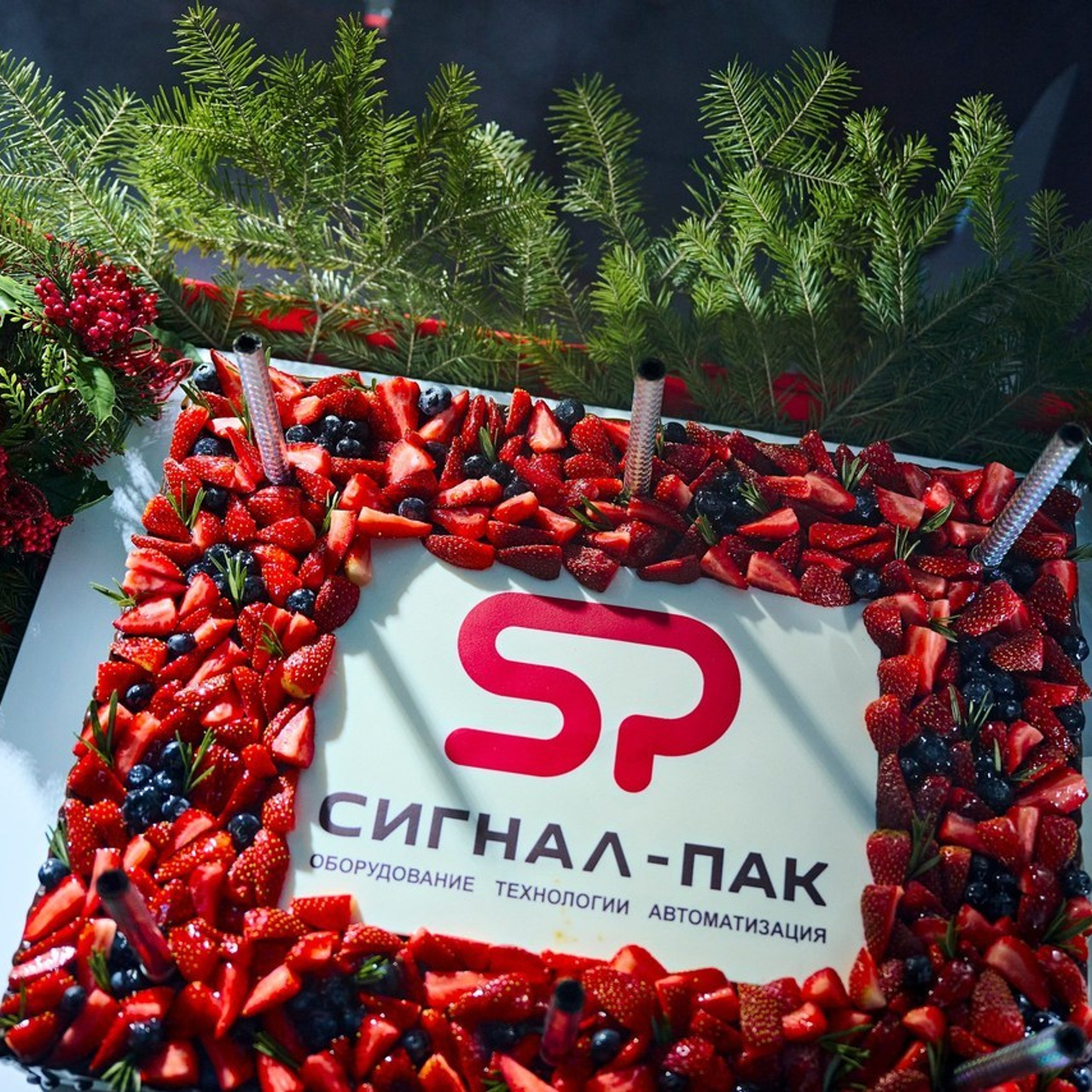 Отзывы. Фотограф Постольник Дарья