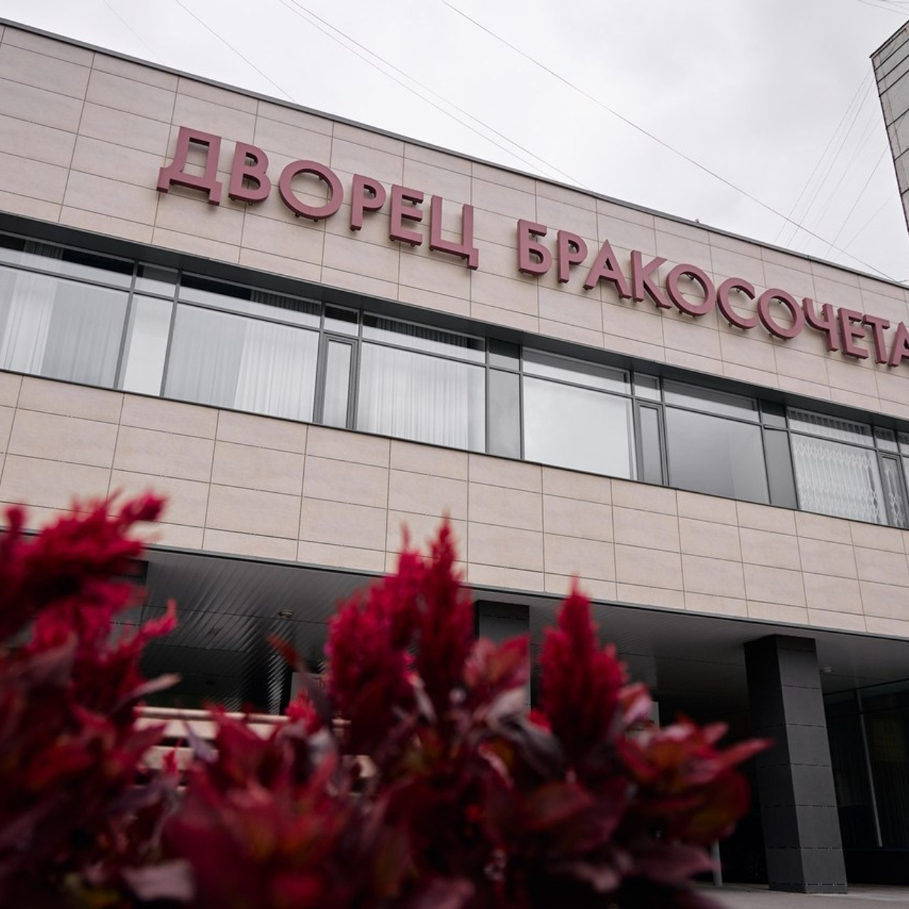 Отзывы. Свадебный фотограф Кирилл Шустров