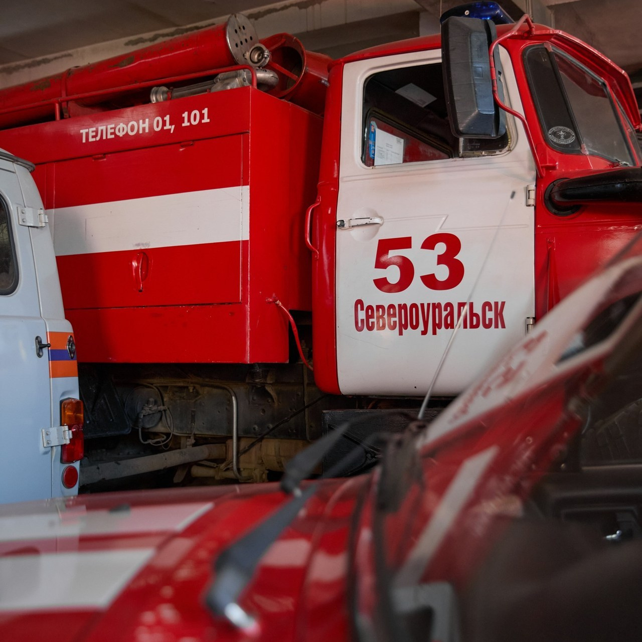 Отзывы. Фотограф Света Бажина