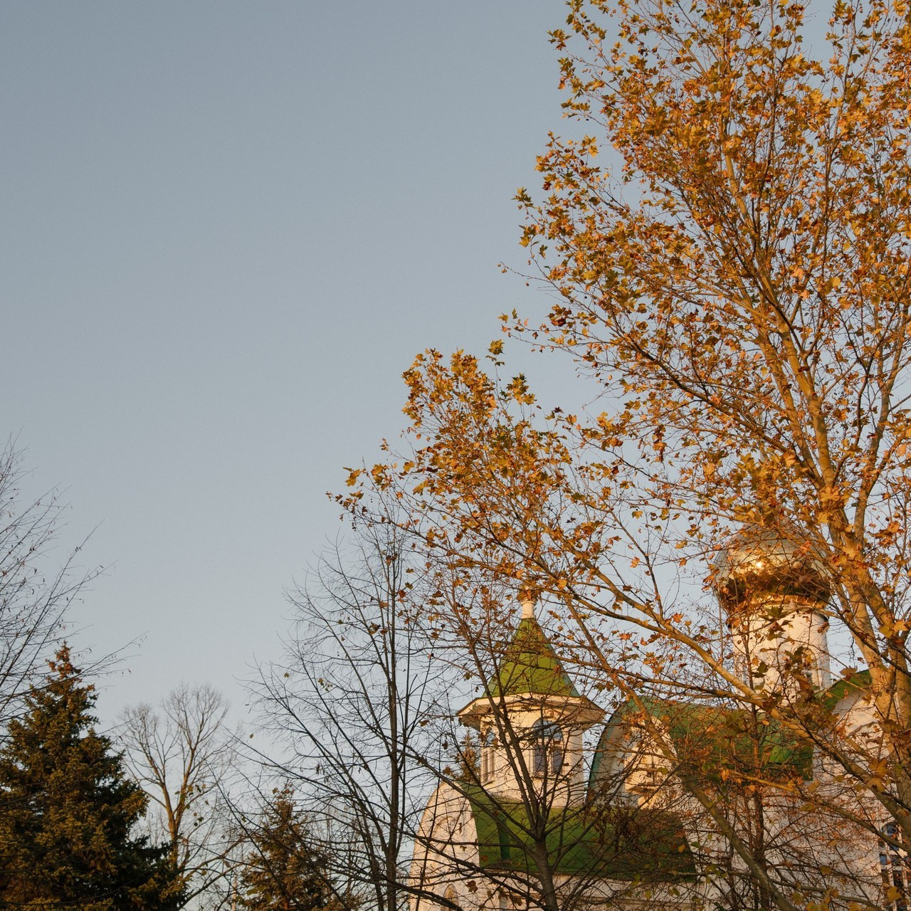 Отзывы. Свадебный и Семейный фотограф в городе Тимашевск и Краснодар
