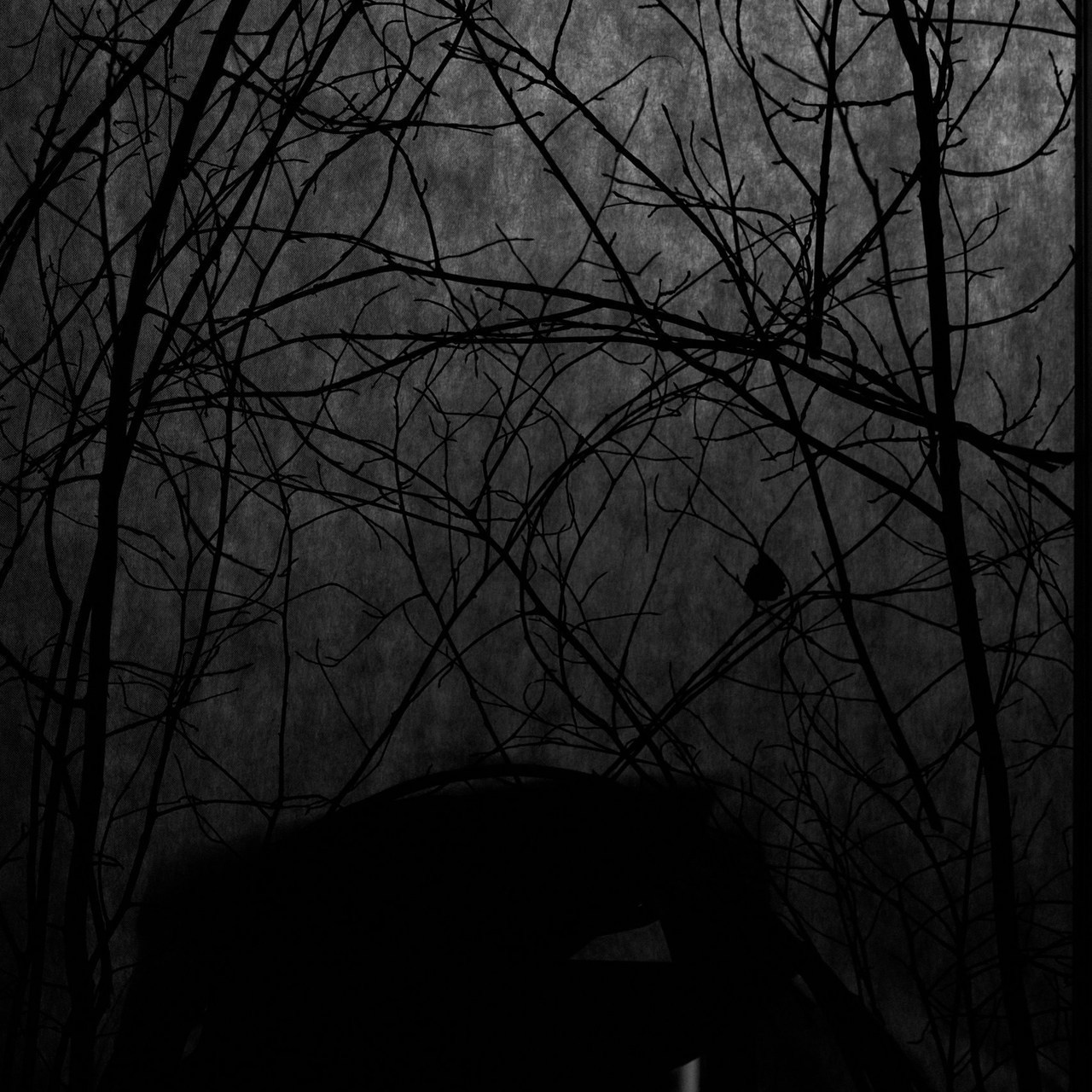 Отзывы. Фотограф