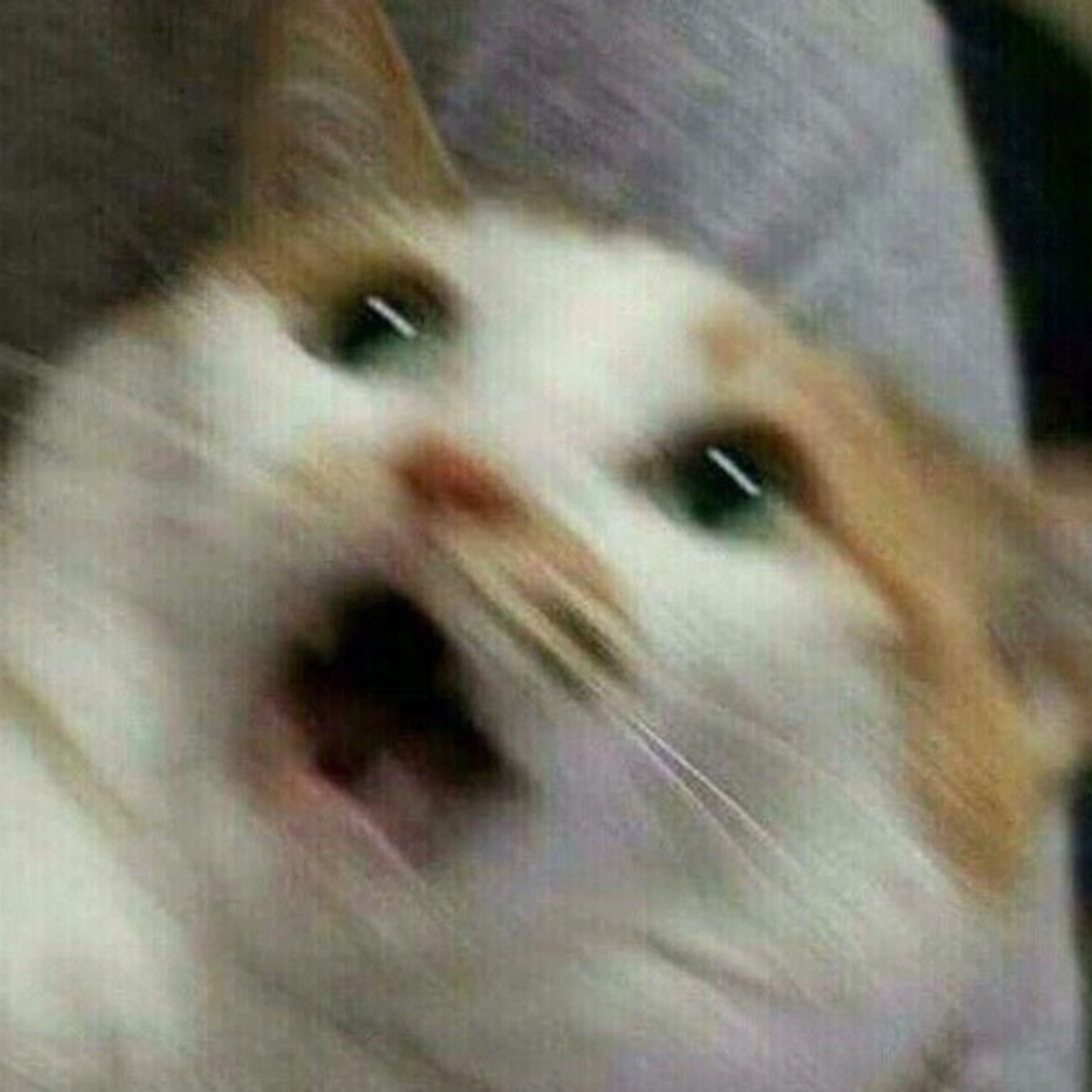 Отзывы. Свадебное агентство «MarWedding»