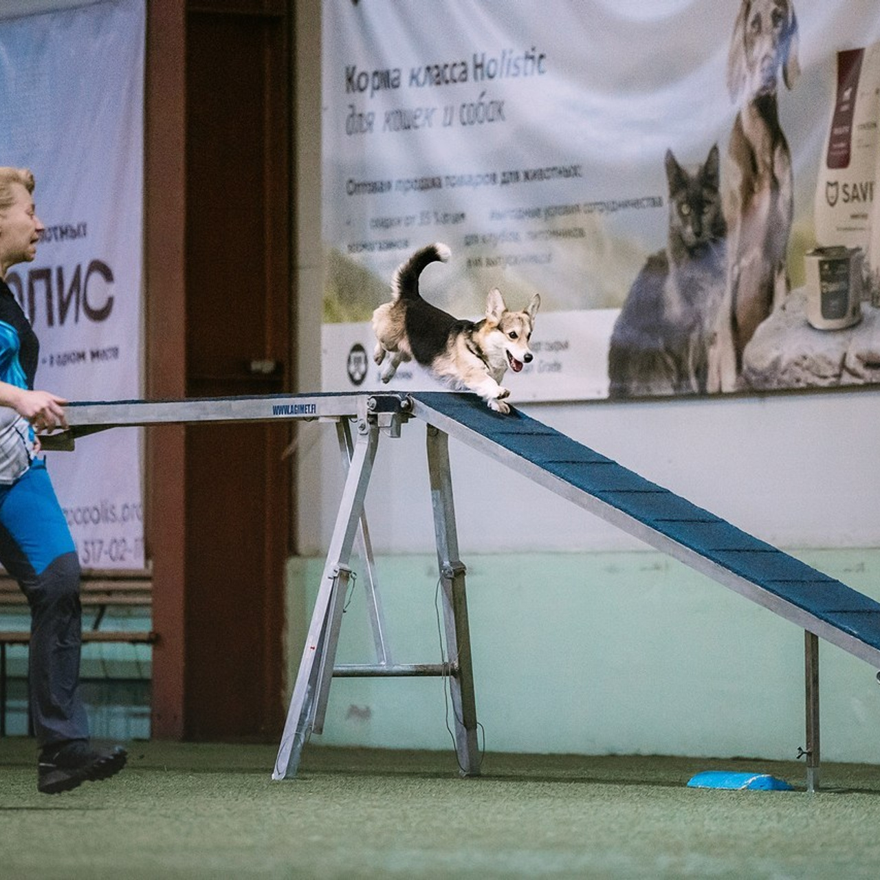 Отзывы. Фотограф-анималист в городе Санкт-Петербург — Сергеева Лилия