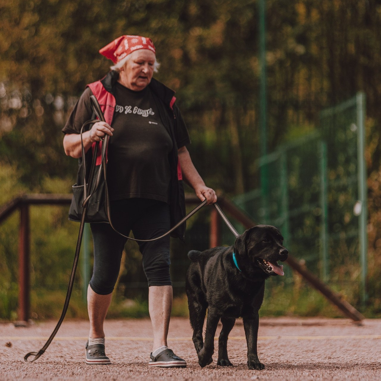 Отзывы. Фотограф-анималист в городе Санкт-Петербург — Сергеева Лилия