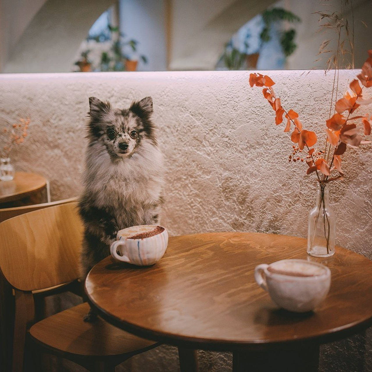 Отзывы. Фотограф-анималист в городе Санкт-Петербург — Сергеева Лилия