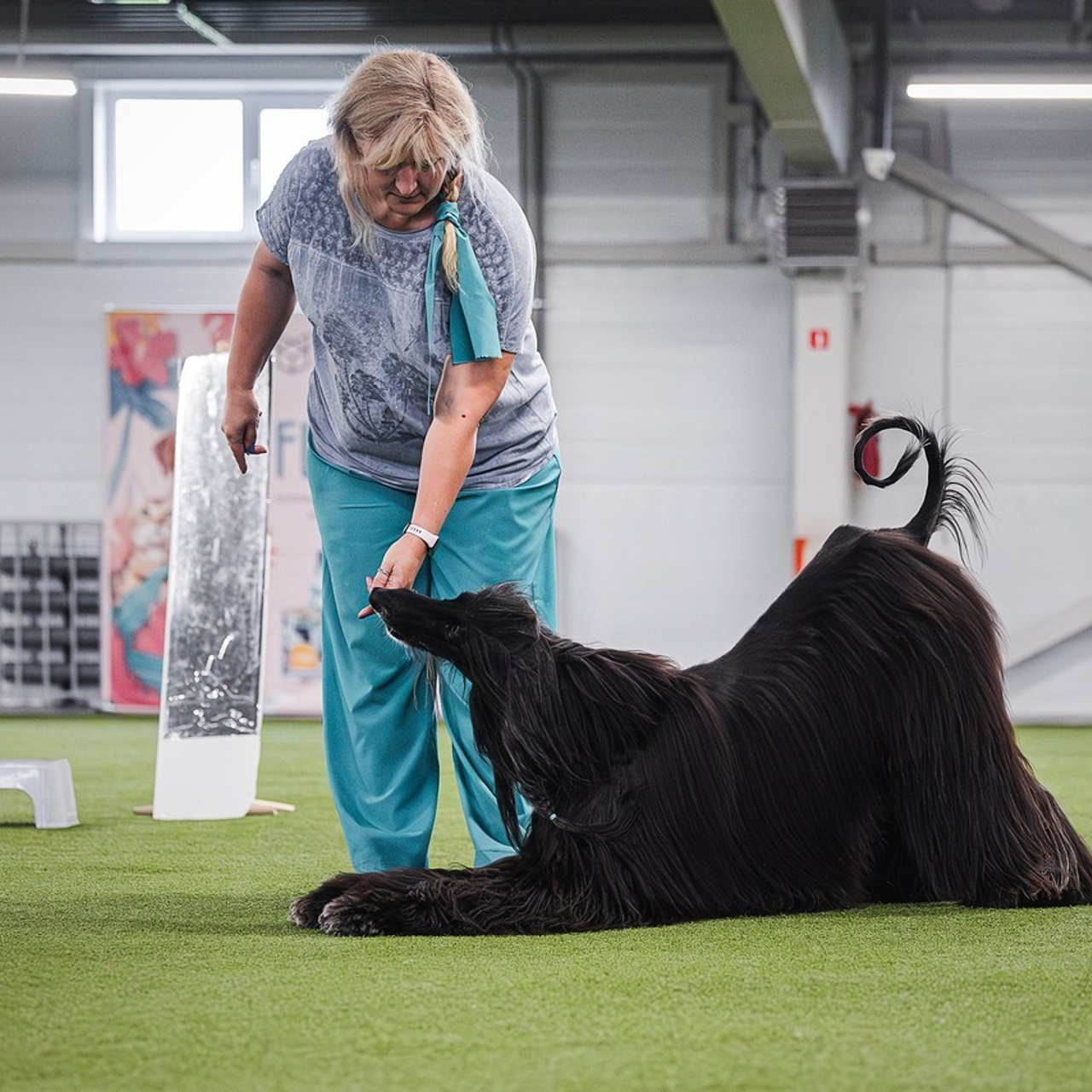 Отзывы. Фотограф-анималист в городе Санкт-Петербург — Сергеева Лилия