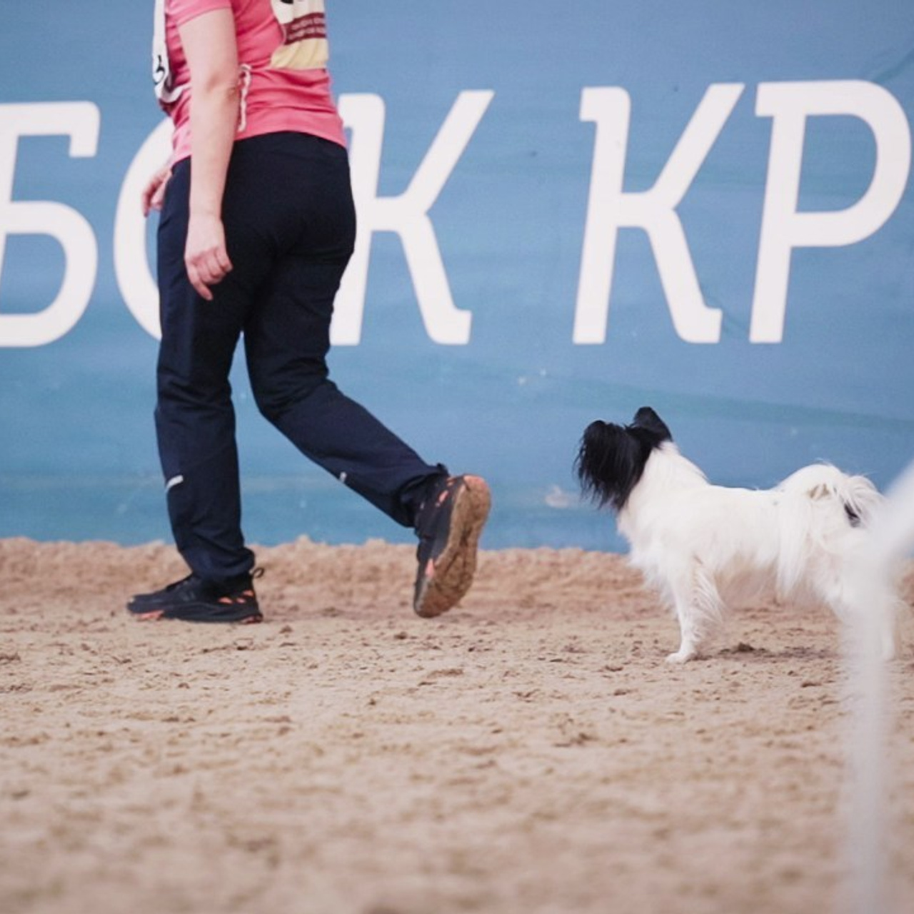 Отзывы. Фотограф-анималист в городе Санкт-Петербург — Сергеева Лилия