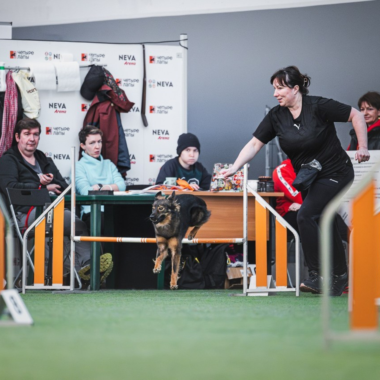 Отзывы. Фотограф-анималист в городе Санкт-Петербург — Сергеева Лилия