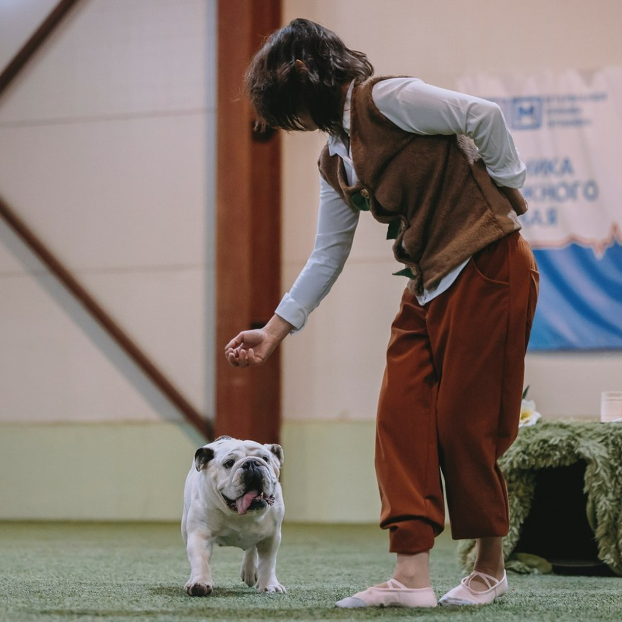 Отзывы. Фотограф-анималист в городе Санкт-Петербург — Сергеева Лилия