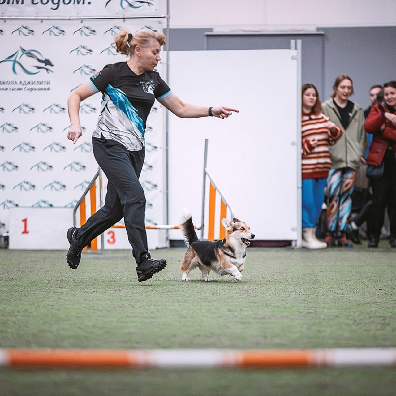 Отзывы. Фотограф-анималист в городе Санкт-Петербург — Сергеева Лилия