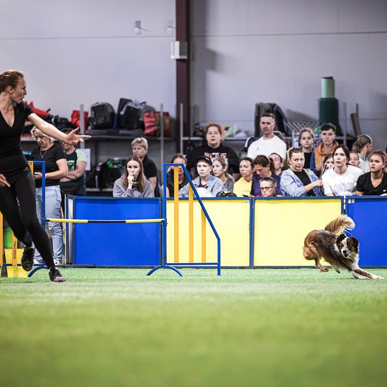 Отзывы. Фотограф-анималист в городе Санкт-Петербург — Сергеева Лилия