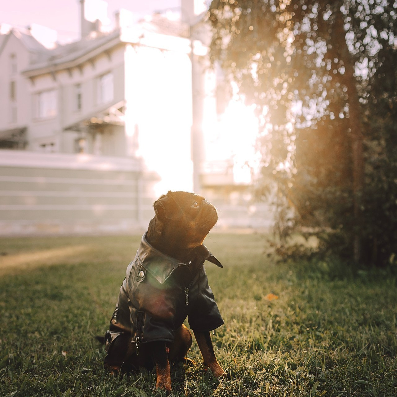 Отзывы. Фотограф-анималист в городе Санкт-Петербург — Сергеева Лилия