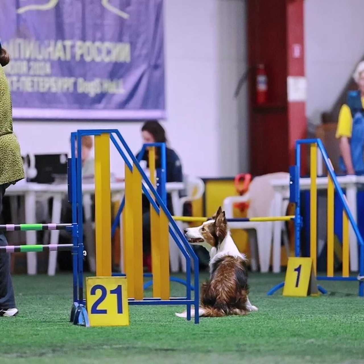 Отзывы. Фотограф-анималист в городе Санкт-Петербург — Сергеева Лилия