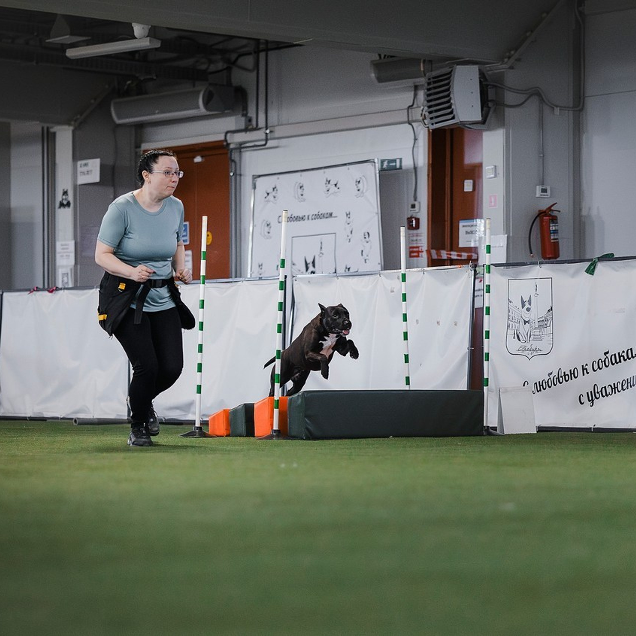 Отзывы. Фотограф-анималист в городе Санкт-Петербург — Сергеева Лилия