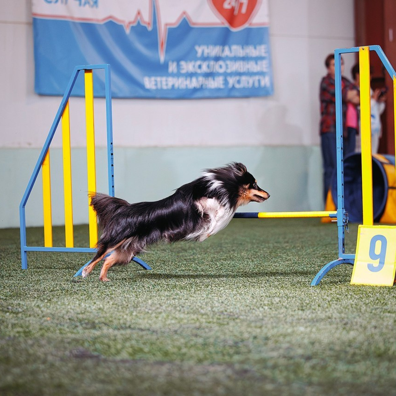 Отзывы. Фотограф-анималист в городе Санкт-Петербург — Сергеева Лилия