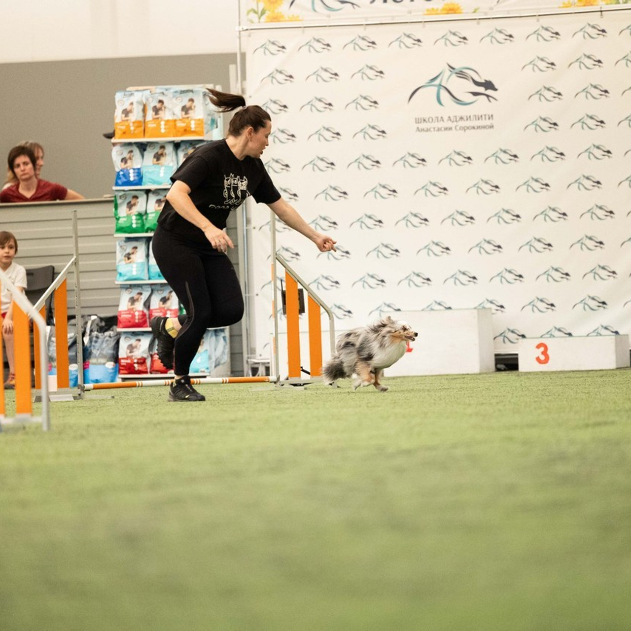 Отзывы. Фотограф-анималист в городе Санкт-Петербург — Сергеева Лилия