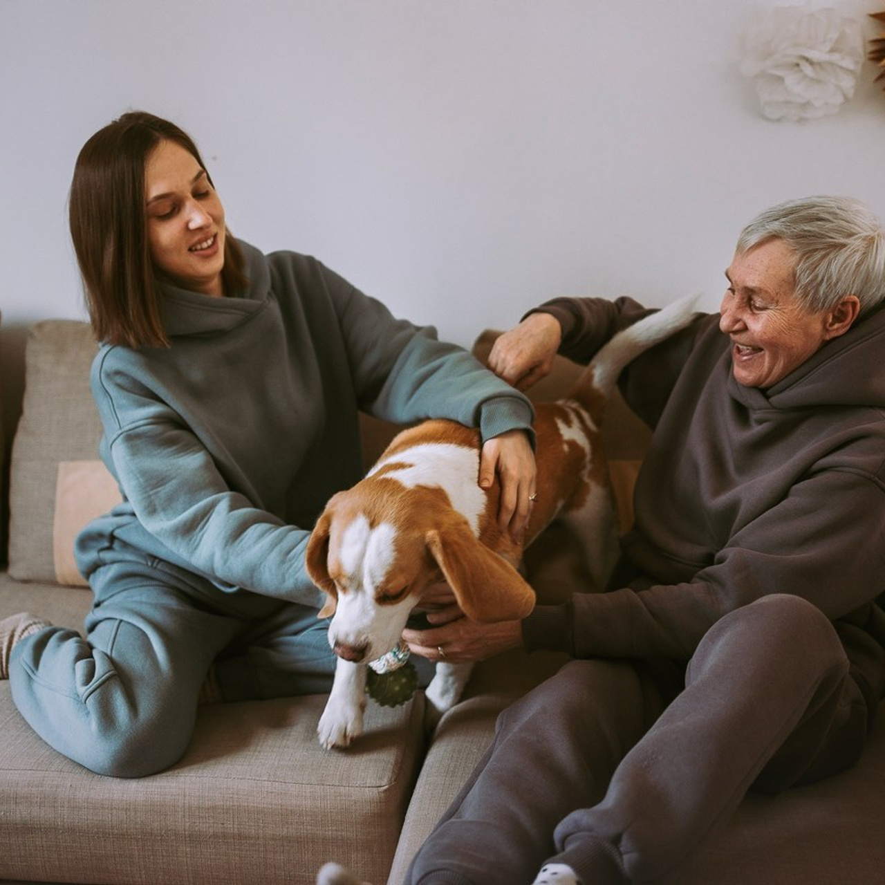 Отзывы. Фотограф-анималист в городе Санкт-Петербург — Сергеева Лилия