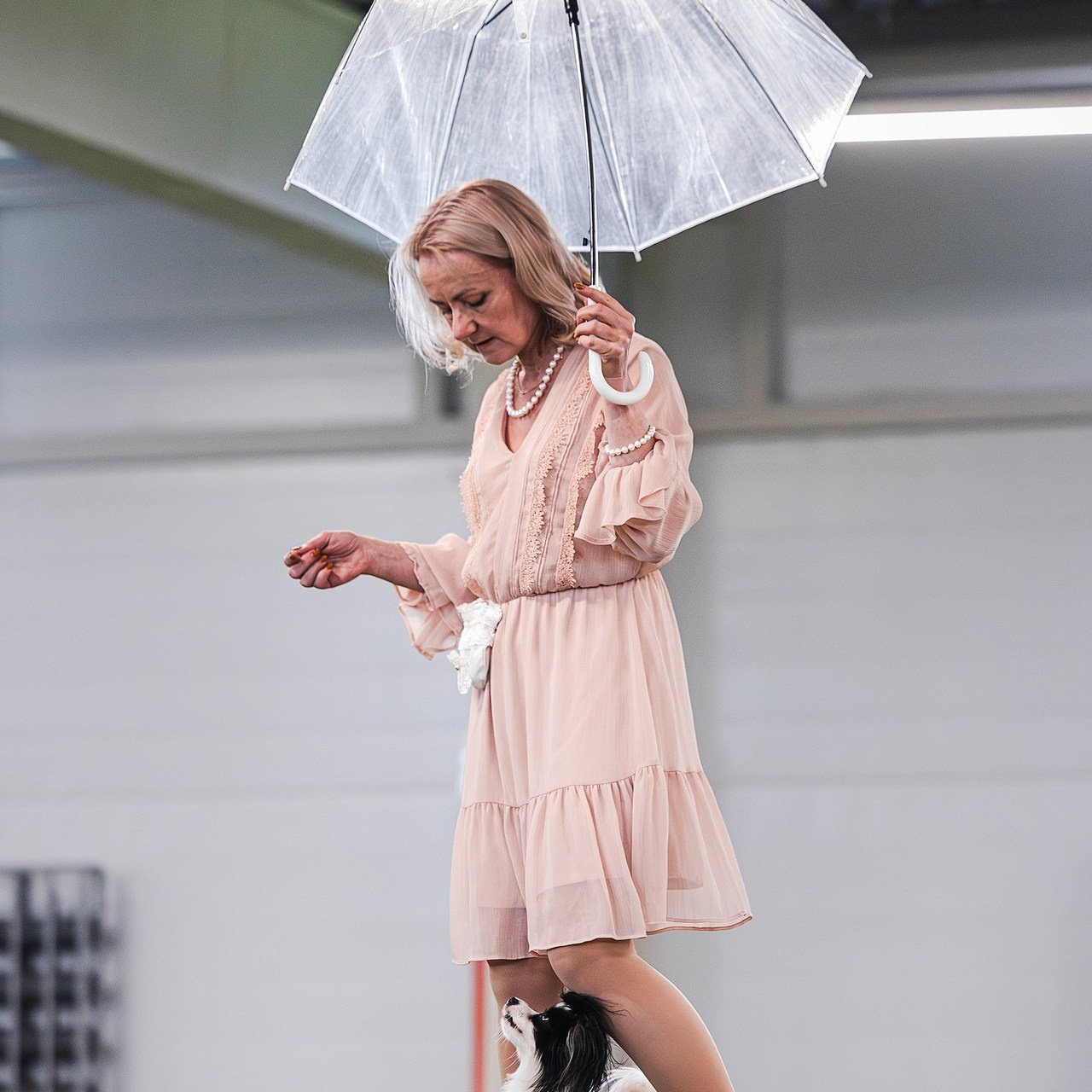 Отзывы. Фотограф-анималист в городе Санкт-Петербург — Сергеева Лилия