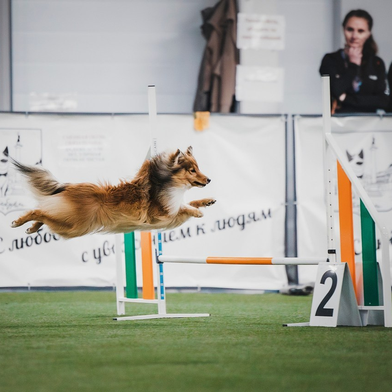 Отзывы. Фотограф-анималист в городе Санкт-Петербург — Сергеева Лилия