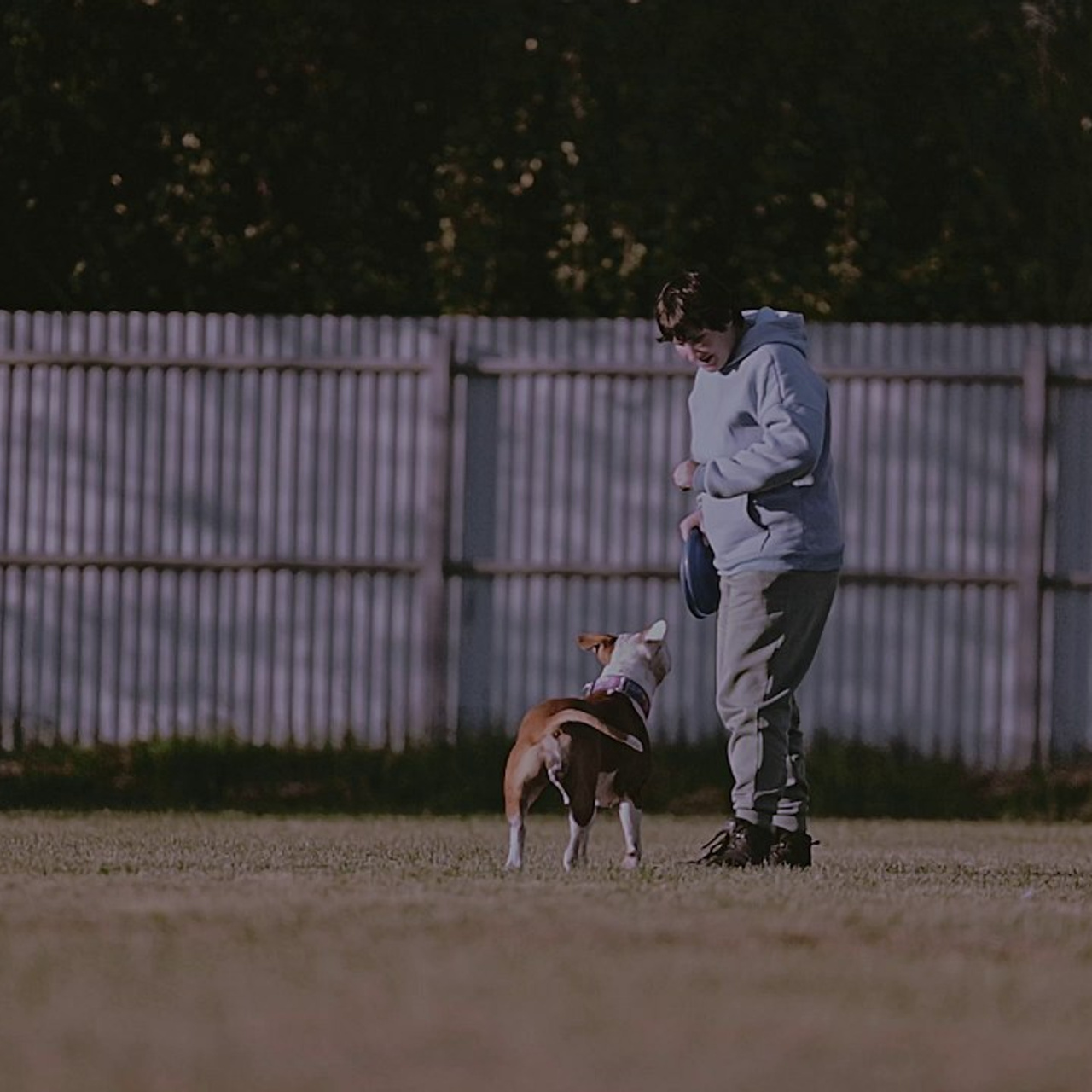 Отзывы. Фотограф-анималист в городе Санкт-Петербург — Сергеева Лилия