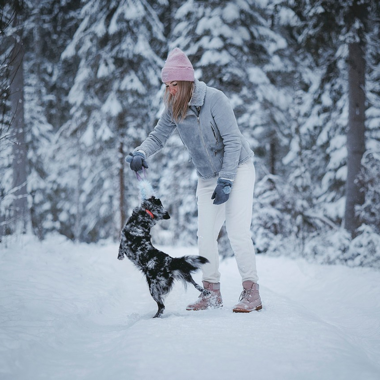 Отзывы. Фотограф-анималист в городе Санкт-Петербург — Сергеева Лилия