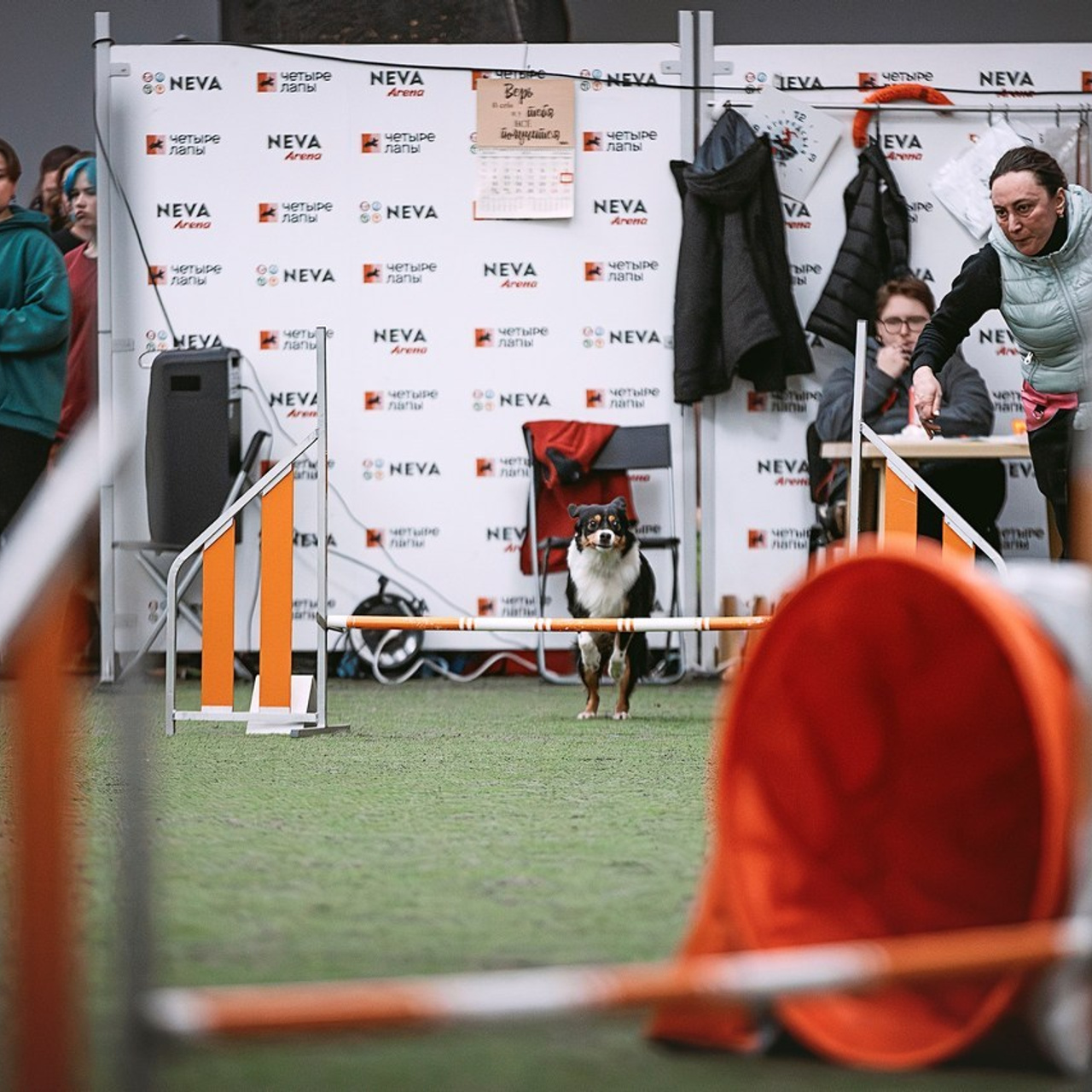 Отзывы. Фотограф-анималист в городе Санкт-Петербург — Сергеева Лилия