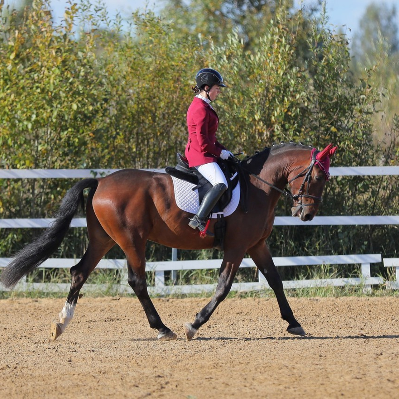 Отзывы. Фотограф в Санкт-Петербурге Дмитрий Изъюров