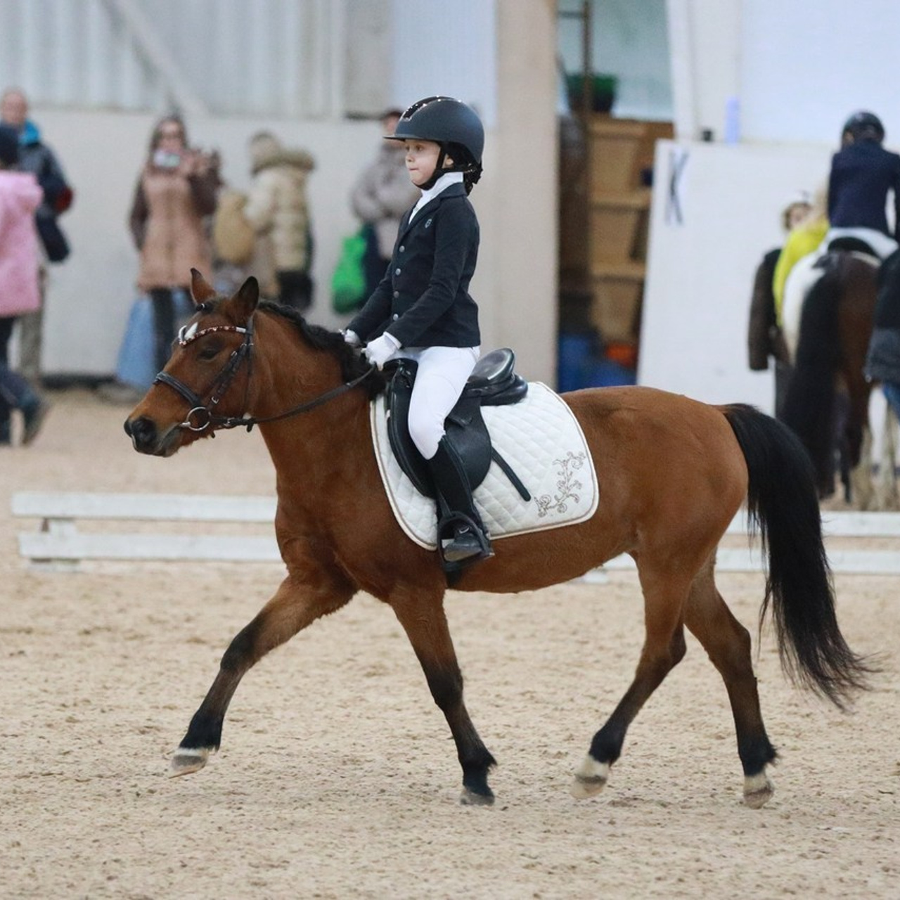 Отзывы. Фотограф в Санкт-Петербурге Дмитрий Изъюров