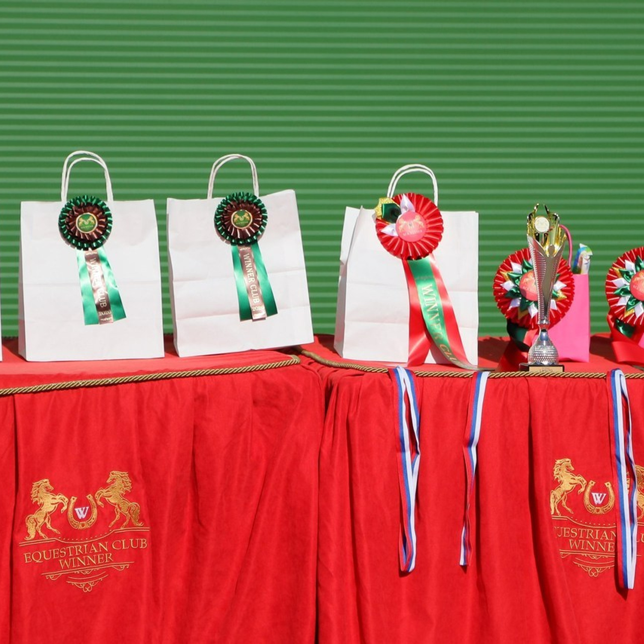 Отзывы. Фотограф в Санкт-Петербурге Дмитрий Изъюров