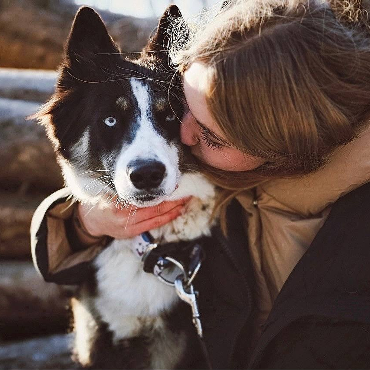 Четвероногий друг