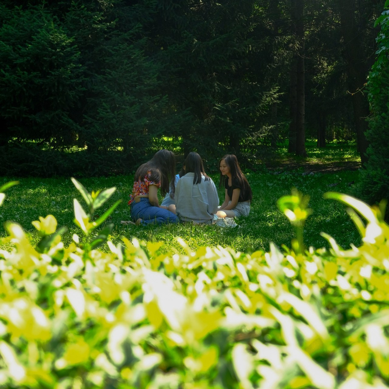 Отзывы. Видеограф и Фотограф в Алматы и Караганда