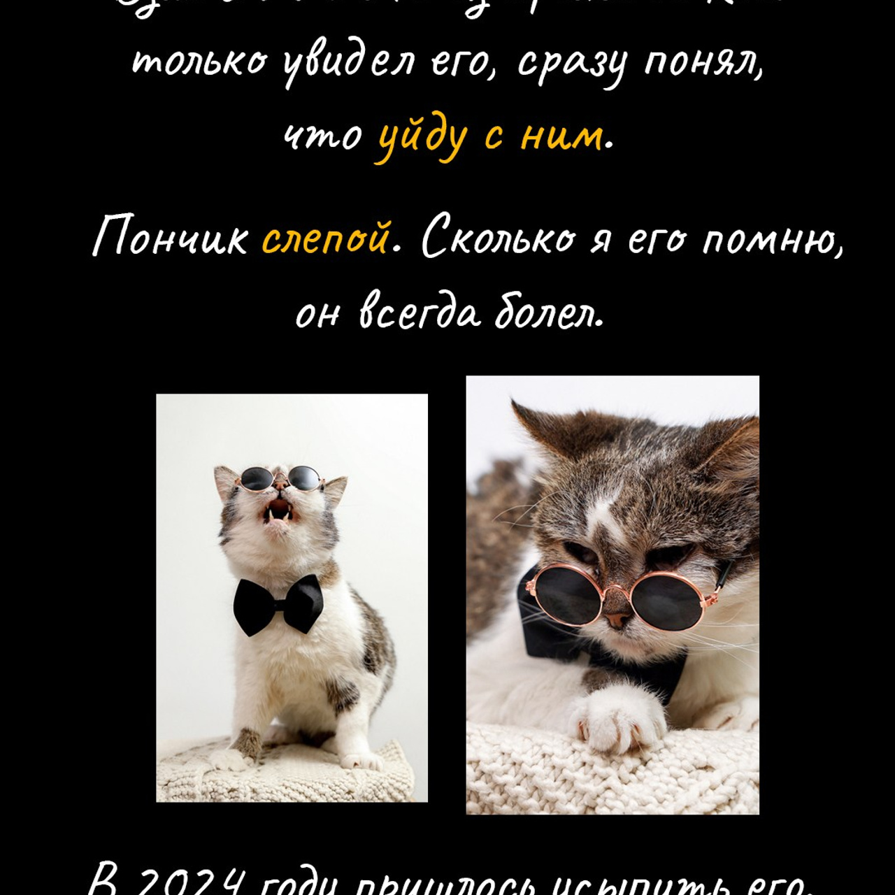 Кто я?. Свадебный фотограф. Краснодар, Москва, Питер. Вадим Мерье