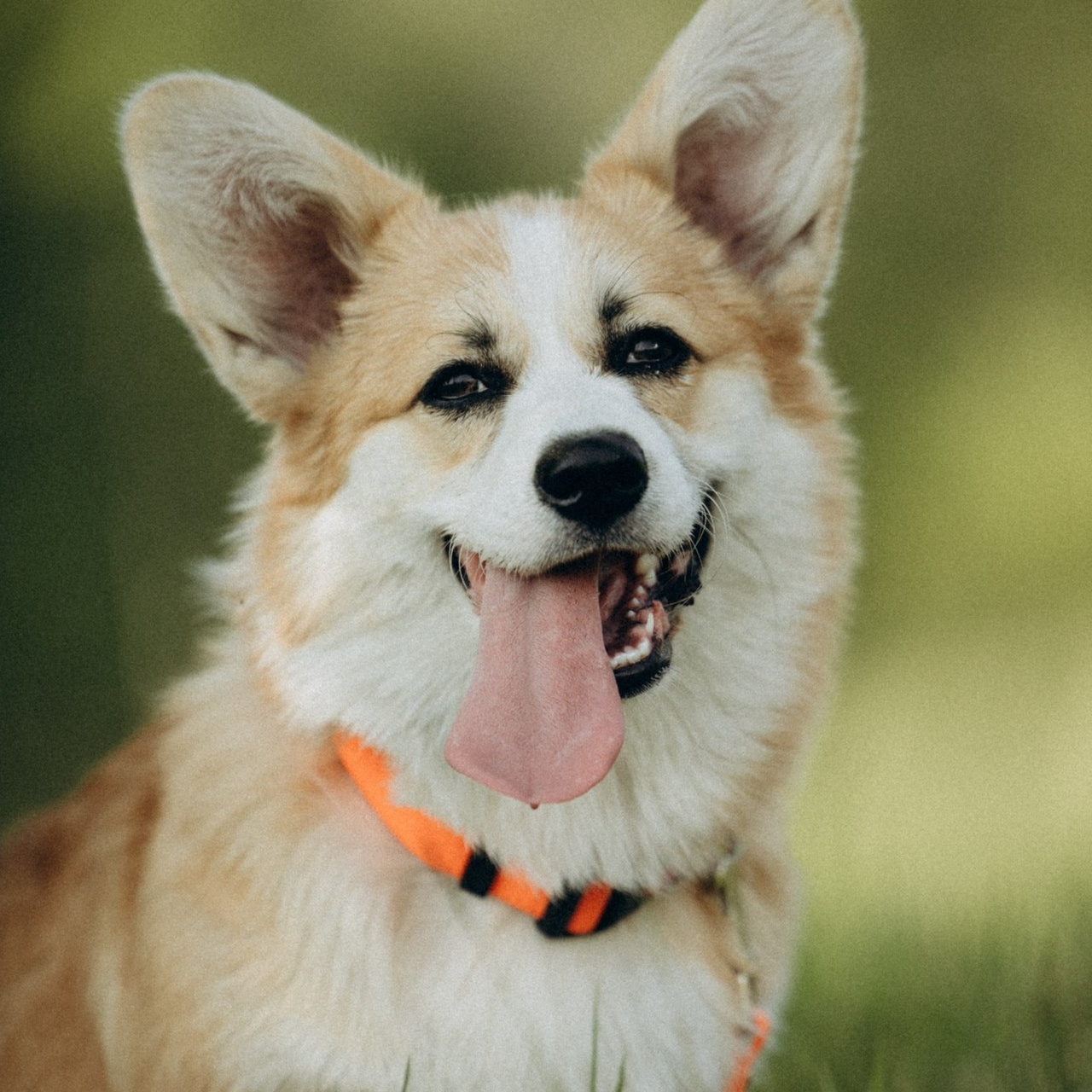 Отзывы. Фотограф г. Северобайкальск Михайлова Сакдиана