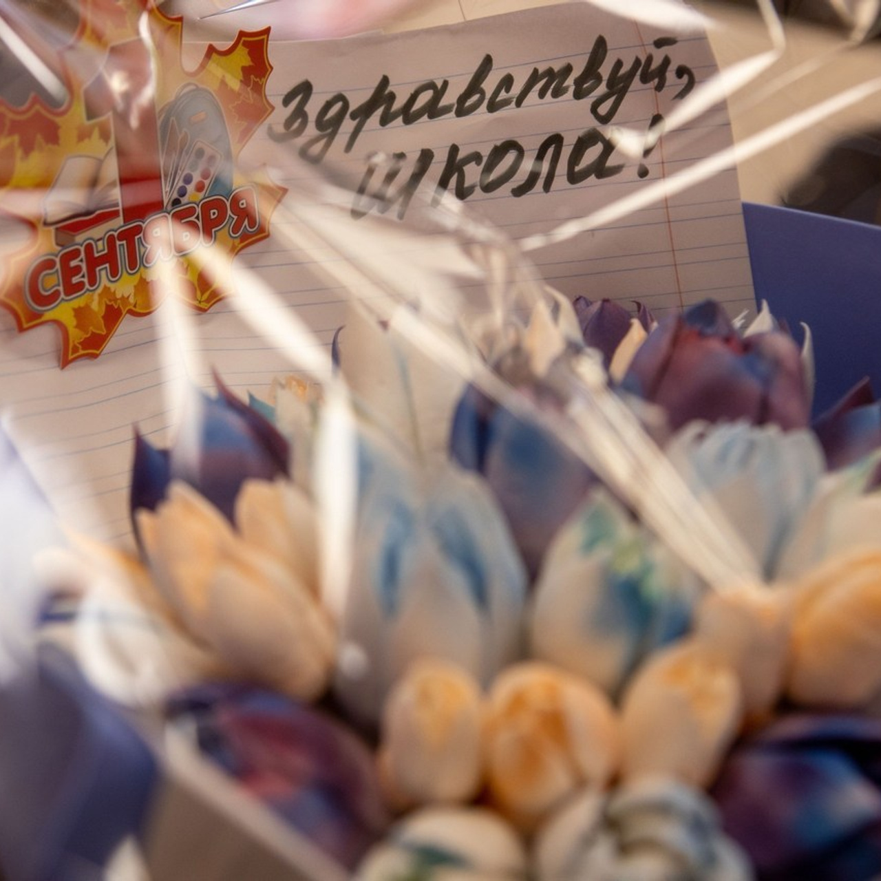 Отзывы. Фотограф в Нефтеюганске