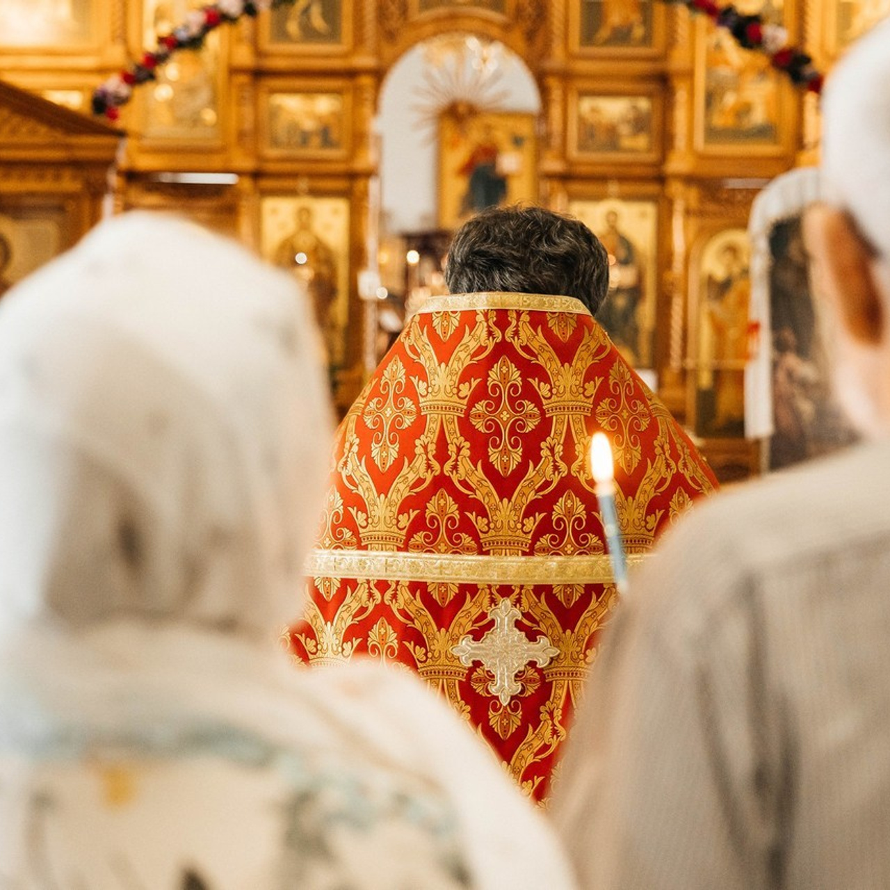 Отзывы. _Carpe diem_