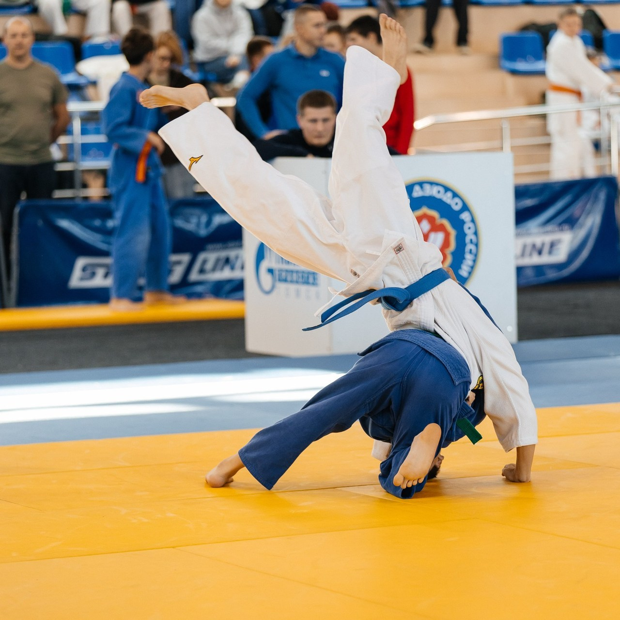 Отзывы. _Carpe diem_