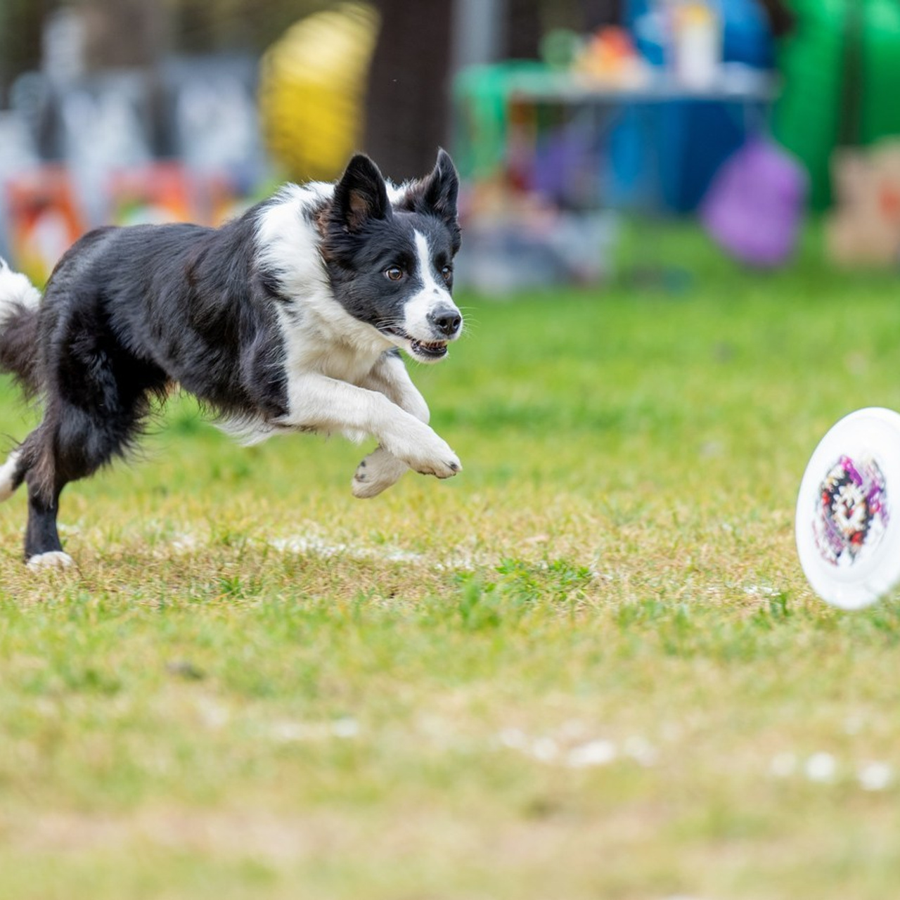 Отзывы. Константин Дем | Фотограф