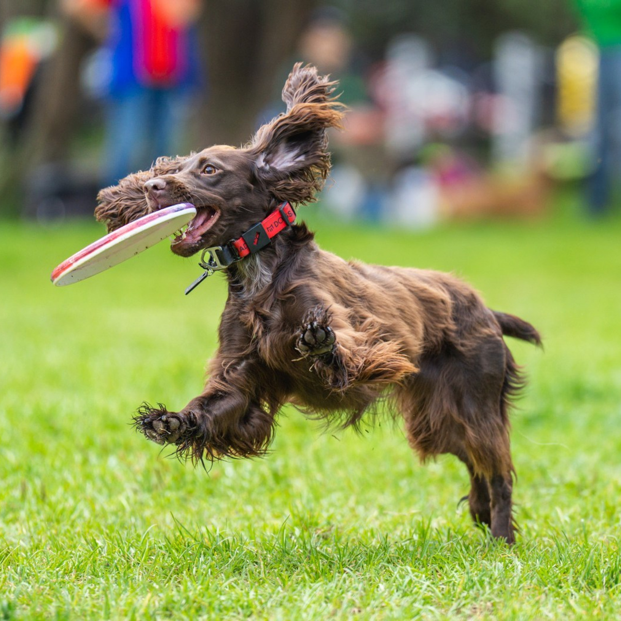 Отзывы. Константин Дем | Фотограф