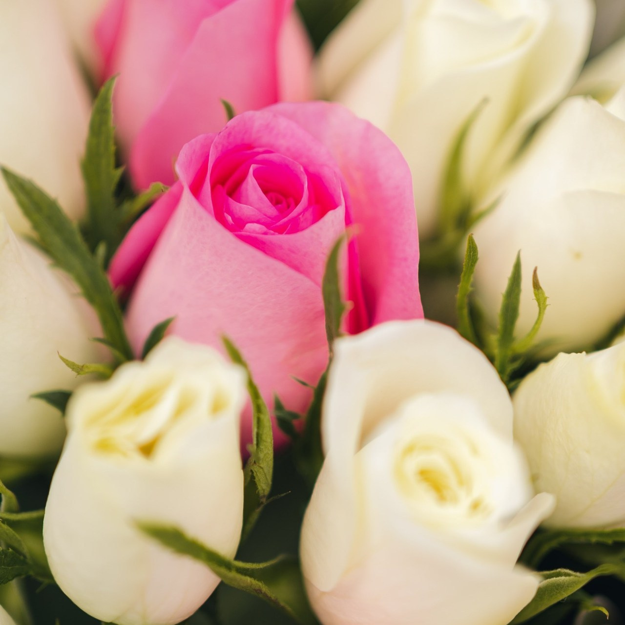 Отзывы. Репортажный фотограф в Казани Виктория Трунова